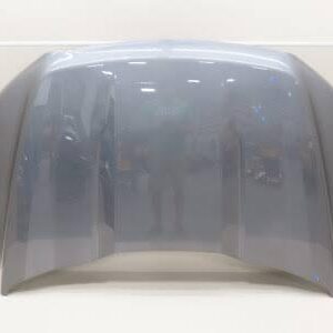 2021 2022 2023 2024 Ford F150 Hood